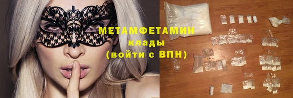 трава Корсаков