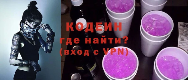 трава Корсаков