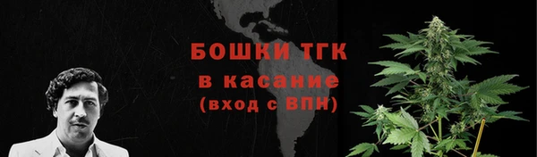 трава Корсаков