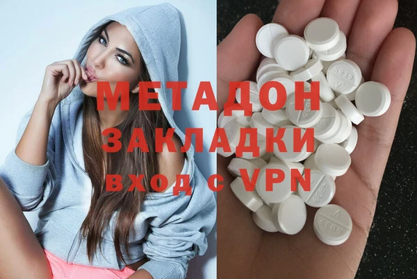 трава Корсаков