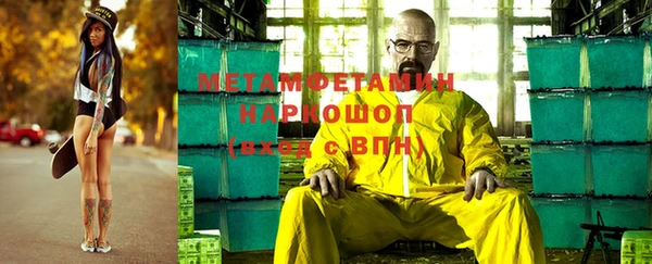 трава Корсаков