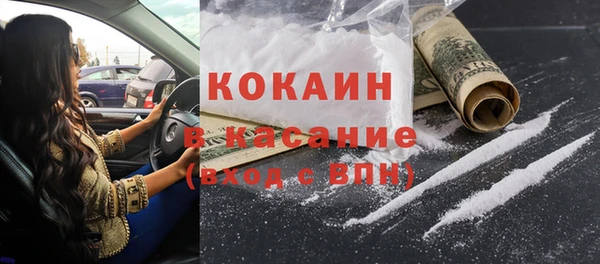 трава Корсаков