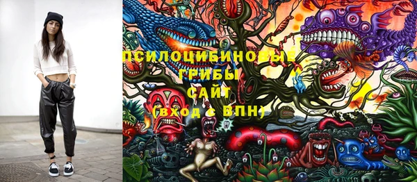 трава Корсаков