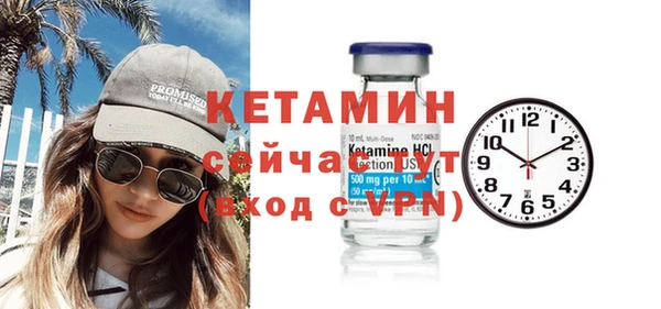 трава Корсаков