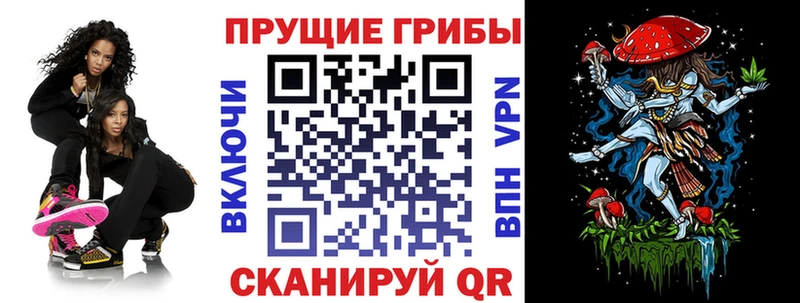 Псилоцибиновые грибы Psilocybe  закладка  Шали 
