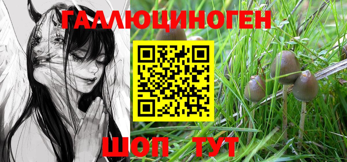 Галлюциногенные грибы MAGIC MUSHROOMS  Вход с VPN  Шали  Галлюциногенные грибы Cubensis 