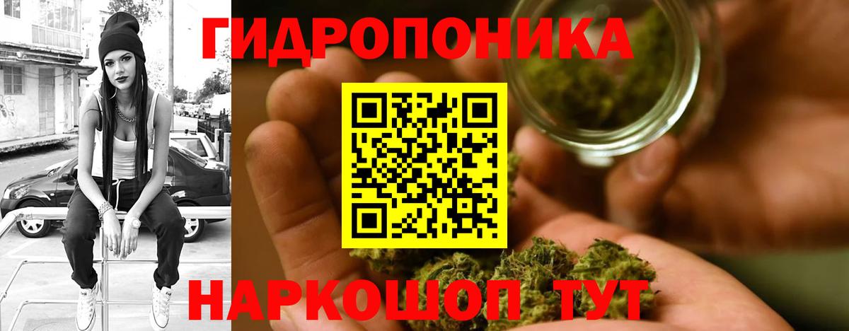 Шали  Конопля планчик  Вход с VPN  Канабис марихуана  Марихуана VHQ  Марихуана марихуана 